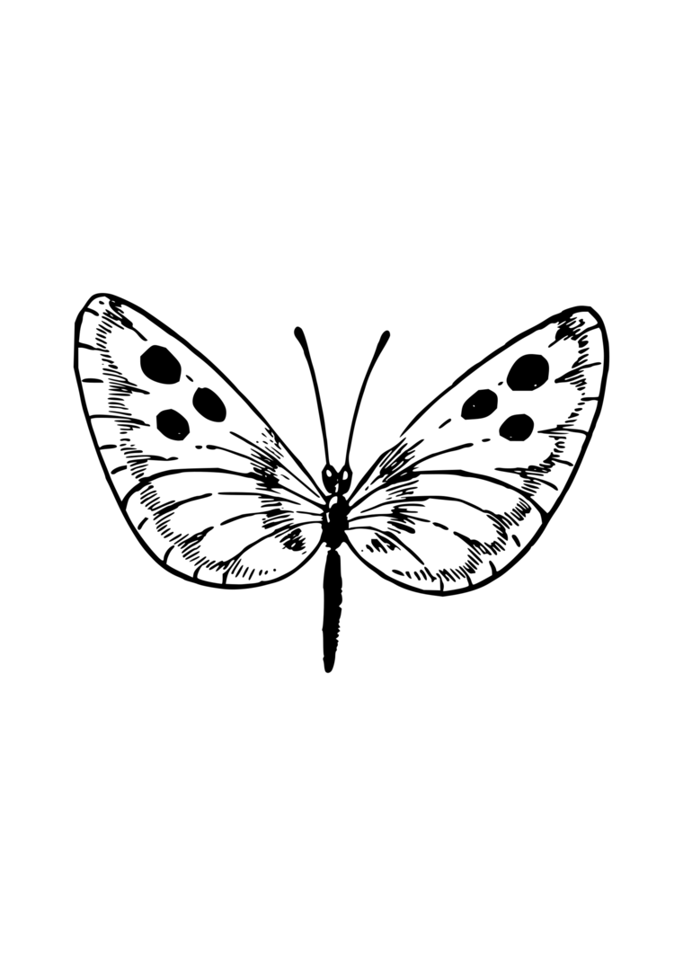 Coloriage papillon à motifs à imprimer