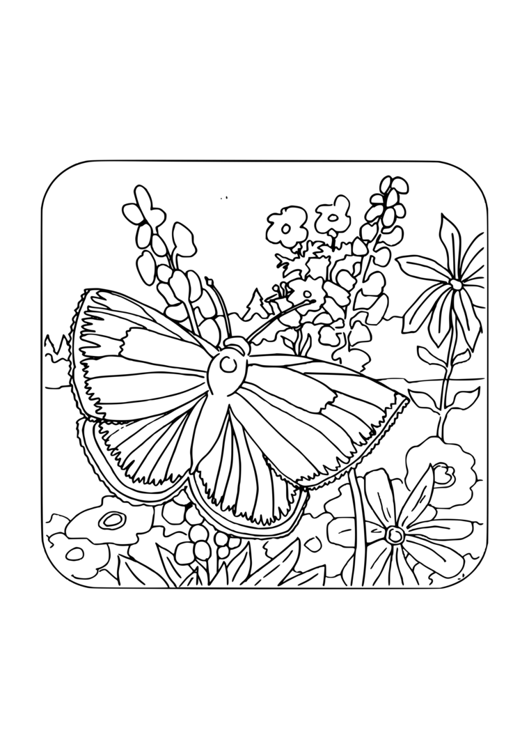 Coloriage papillon dans les fleurs à imprimer